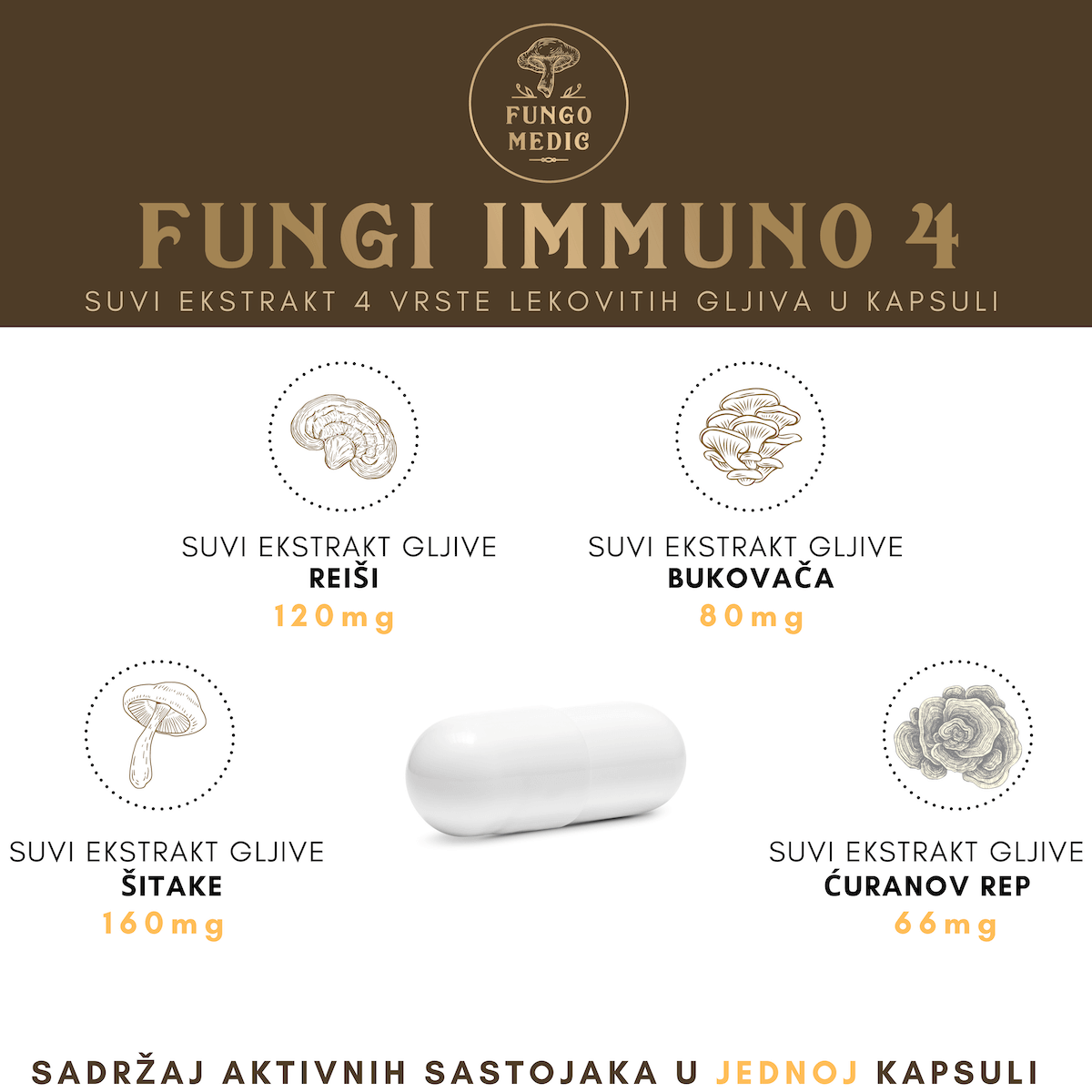 Sadržaj aktivnih sastojaka Fungi Immuno 4 po kapsuli: 160 mg šitake, 120 mg reiši, 80 mg bukovača, 66 mg ćuranov rep