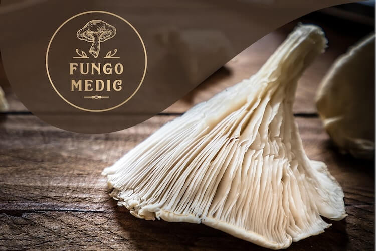 Fungo Medic – lekovite gljive i prirodni suplementi – lek iz prirode za jačanje imuniteta